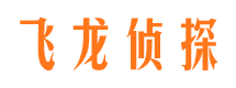 武陵市私家侦探